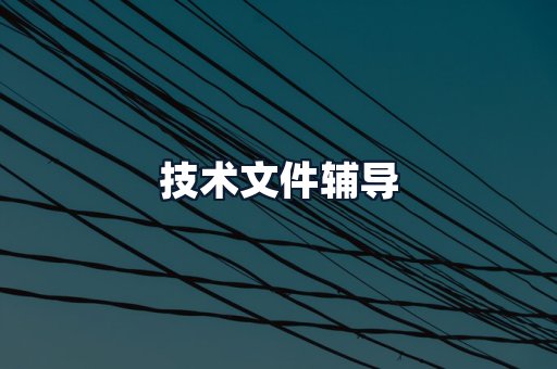 技术文件辅导