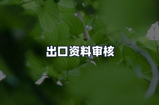 出口资料审核